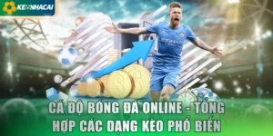 Cá Độ Bóng Đá Online