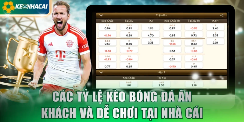 Các Tỷ Lệ Kèo Bóng Đá
