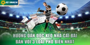 Hướng Dẫn Đọc Kèo Nhà Cái