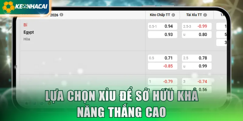 Lựa chọn Xỉu để sở hữu khả năng thắng cao