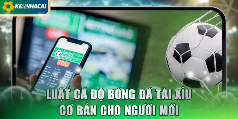 Luật cá độ bóng đá Tài Xỉu cơ bản cho người mới