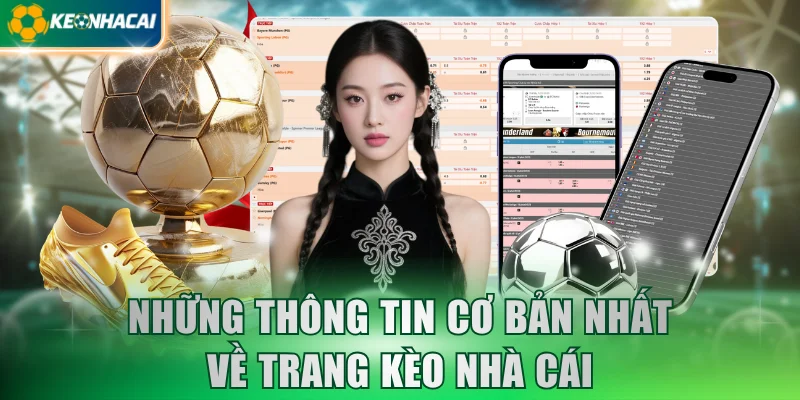 nhung-thong-tin-co-ban-nhat-ve-trang-keo-nha-cai