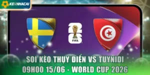 Thụy Điển Vs Tuynidi