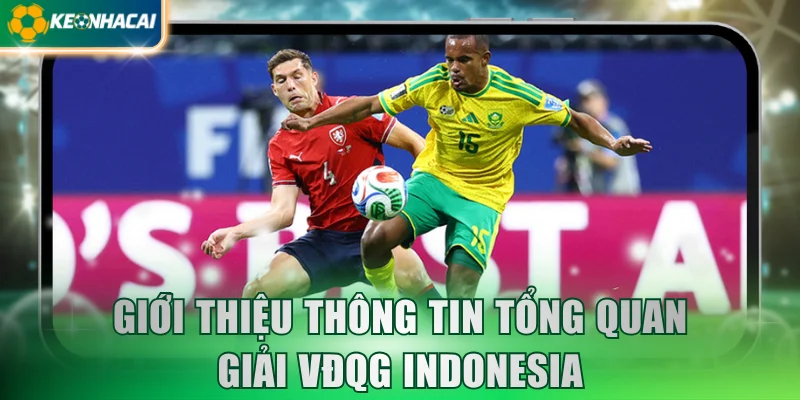 Giới thiệu thông tin tổng quan giải VĐQG Indonesia