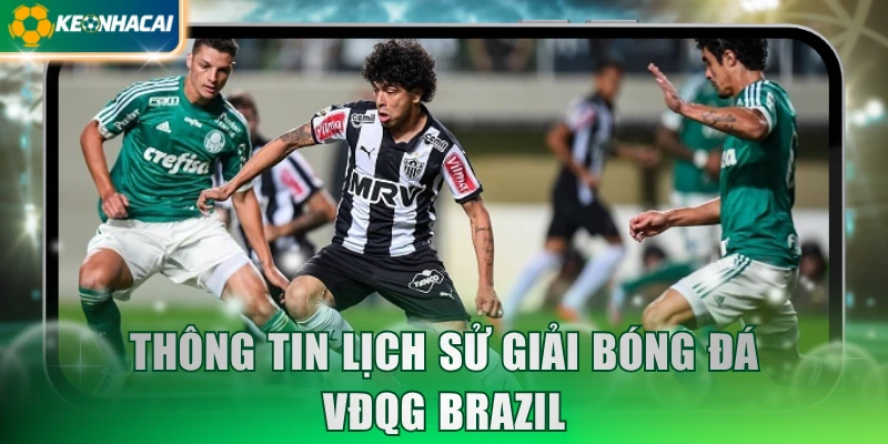 thong-tin-lich-su-giai-bong-da-vdqg-brazil