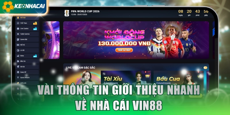 Vài thông tin giới thiệu nhanh về nhà cái VIN88